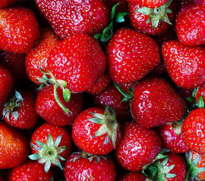Fragola